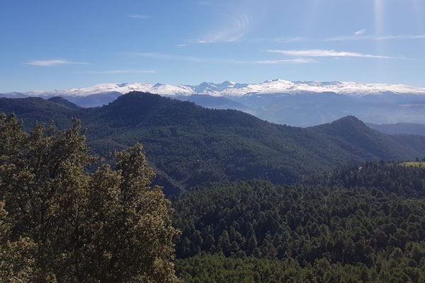 Foto 1 de 3